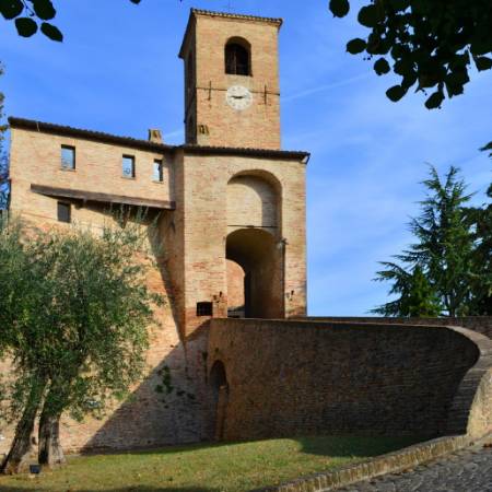 Tour de l’huile d’olive
